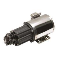 ECLIPSE® 12 Non-Metallic External Gear Pump